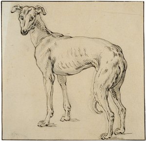 Greyhound af Abraham Bloemaert