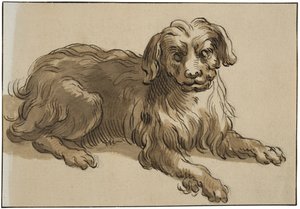 Langhåret hund