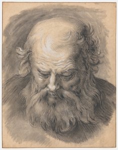 Studie af hovedet af en skægget mand af Abraham Bloemaert