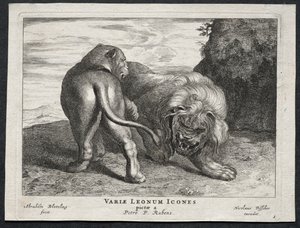 Forskellige løver. af Abraham Blooteling