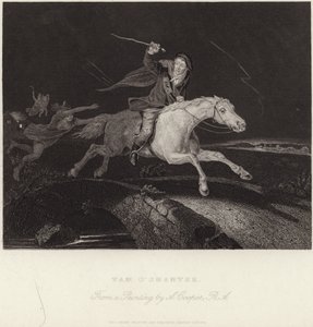 mere giftig af Abraham Cooper