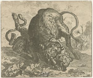 Leopard og Tyr Forskellige dyr (serietitel)