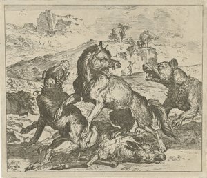 Ulv angrebet af hunde Forskellige dyr (serietitel)