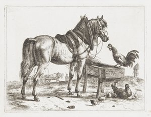 Hest ved en foderautomat