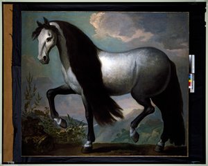 Hest i et landskab