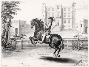 Illustration fra en ridemanual, indgraveret af Peeter Clouwet (1629-70), 1658 af Abraham Jansz. van after Diepenbeeck