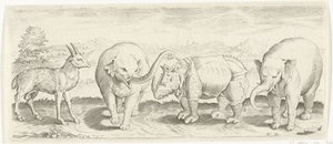 Gazelle, elefant og næsehorn Dyr (serietitel)