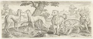 hunde Dyr (serietitel)