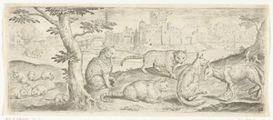 Rotter, katte og ræve Dyr (serietitel)