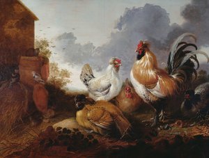 Fjerkræ i en gård