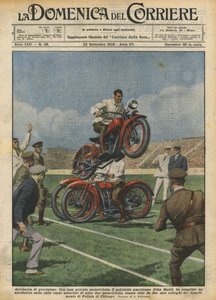 Præcisionsstunt
