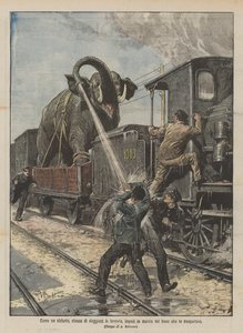 Som en elefant, der er træt af at rejse med jernbane, standsede den toget, der transporterede den.