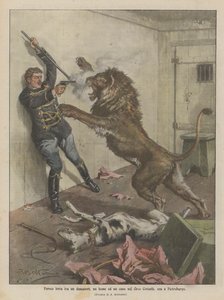Voldsom kamp mellem en tæmmer, en løve og en hund i Ciniselli-cirkus, nu i Petersborg