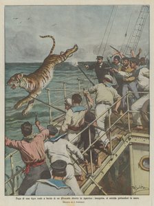 Royal tiger undslipper om bord på et dampskib på vej til Amerika, forfølges, begår selvmord ved at springe i havet