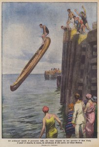 Ubrugelig vovemod