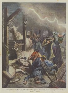 Lynets luner inde i en stald i CastellAlfero (provinsen Alessandria), lander og sårer ?