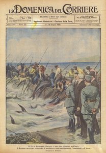 Kongen på Sardinien af Achille Beltrame
