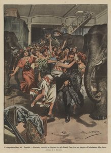 Telegrafist Bins fra den sunkne republik, der er tvunget til at søge tilflugt blandt elefanterne i et cirkus?