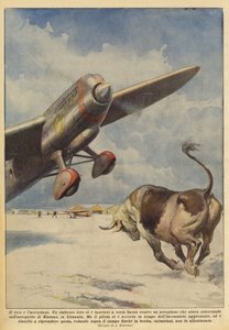 Tyren og flyvemaskinen