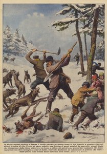 Har istidens kulde i nogle nordlige områder af Europa ført til glubske ulveflokke? af Achille Beltrame
