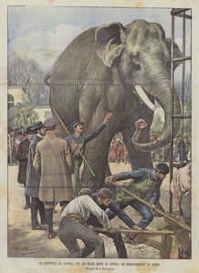 Afgangen fra London til Jingos Forenede Stater, Afskedsdemonstrationerne
