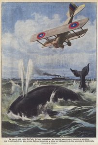 Jagten fra himlen af Achille Beltrame