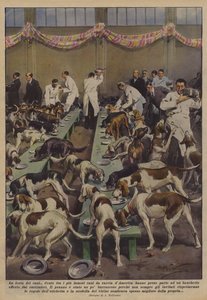 Hundefesten af Achille Beltrame