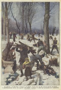 Elendighed og uorden i Wien af Achille Beltrame