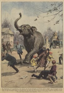 En pachyderm