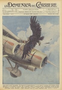 Gribben mod flyvemaskinen af Achille Beltrame