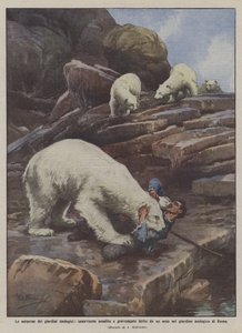 Overraskelser i zoologisk have, ledsager angrebet og alvorligt såret af en bjørn i ?
