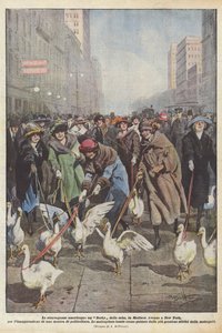 Amerikanske udskejelser, et Gæs Derby, på Madison Avenue i New York, til indvielsen? af Achille Beltrame