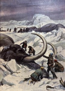 Mammutter på Nordpolen af Achille Beltrame