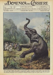 Inden kongen forlod Somalia, tog han på elefantjagt.