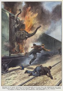 Låst inde i en jernbanevogn, der var gået i brand nær Marseille, to elefanter? af Achille Beltrame