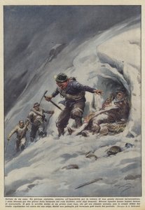 Reddet af en hund
