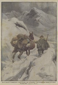 Mellem fædrelandet og kæmperne af Achille Beltrame