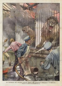 A Fire in the Wild Beasts tildeling i Berlins zoologiske have (farve litho) af Achille Beltrame