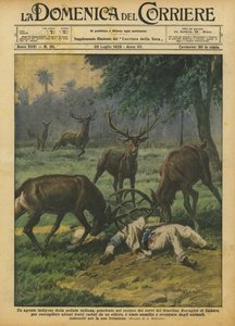 En indfødt agent fra det indiske politi brød ind i hjorteindhegningen i Zoologisk Have?