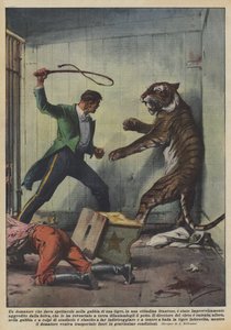 En tæmmer, der opfører et show i et tigerbur i en fransk by?
