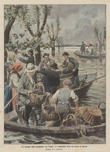 En episode om oversvømmelserne i Veneto, druehøsten, der udføres med både af Achille Beltrame