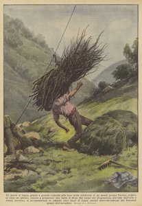 Et bundt træ ankom med stor hastighed ved foden af ​​svævebanen på et bjerg nær Varese?