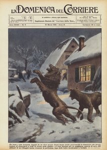En løve og en løvinde, der flygtede fra et cirkus nær Gent, sårede tæmmeren alvorligt, hvem?
