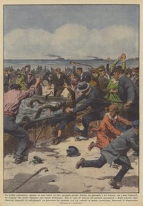 Har en kæmpe blæksprutte, vist i en balje på en strand nær Toulon, grebet?