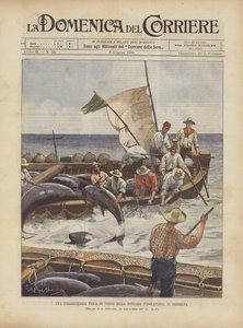 Et ekstraordinært tunfiskeri i Tonnara DIsolapiana på Sardinien