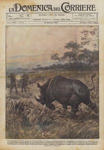 Et storvildtjagteventyr i Afrika