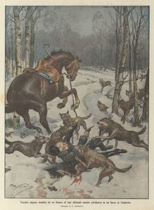 Gammel mand angrebet af en flok sultne ulve under ridning i en skov i Ungarn