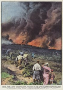 Voldsomme skovbrande, der skyldes tørke, er brudt ud på forskellige steder. af Achille Beltrame