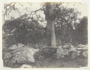 Skov og klipper, Fontainebleau af Achille Quinet