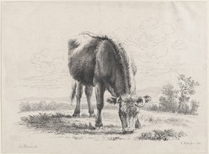 Kogræsning, 1805., 1805. af Adam von Bartsch